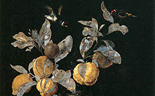 Виллем ван Алст - Натюрморт с фруктами