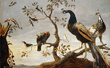 Франс Снейдерс - Птицы на ветвях